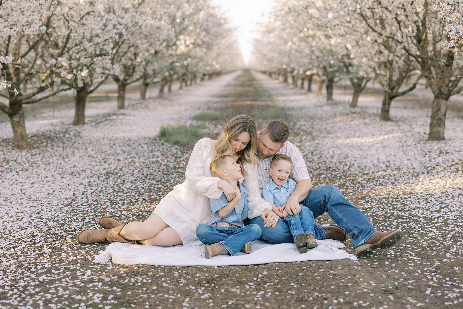 A family of four sits together on a white blanket in an almond orchard, surrounded by fallen blossoms. Captured in warm golden-hour light by Sacramento family photographer Nicole Hodgson.