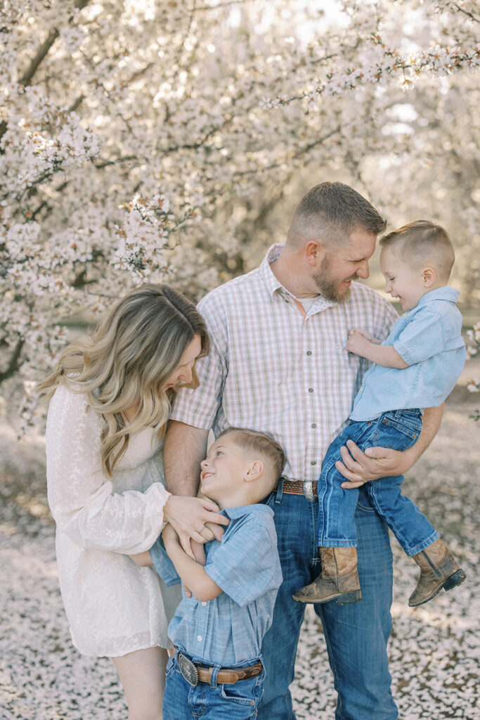 A joyful family shares a playful moment in an almond orchard, with parents laughing and embracing their two young sons under the soft white blossoms. Captured by Sacramento family photographer Nicole Hodgson.