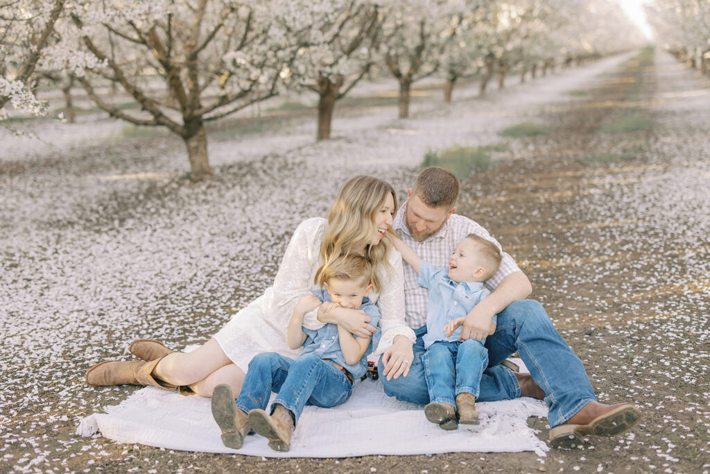 A family of four sits together on a blanket in an almond orchard, laughing and playing among the soft white blossoms. Captured by Sacramento family photographer Nicole Hodgson.