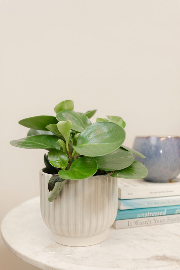 Warm lifestyle branding photo of Sacramento therapist with coffee mug — personal brand photography for mental health professionals